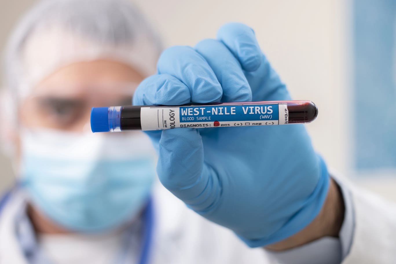 Virus West nile come combatterlo con la giusta disinfestazione
